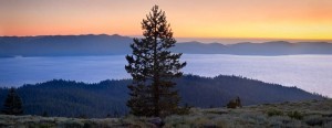 Tahoe-Rim-Trail-300x116